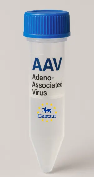 BET1 AAV Vector (Rat) (CMV)