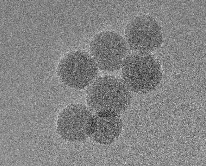 Ni-NTA Silica Particles, 10 um