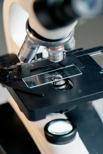 [SK-CELL-66] Microscope Cover Glass